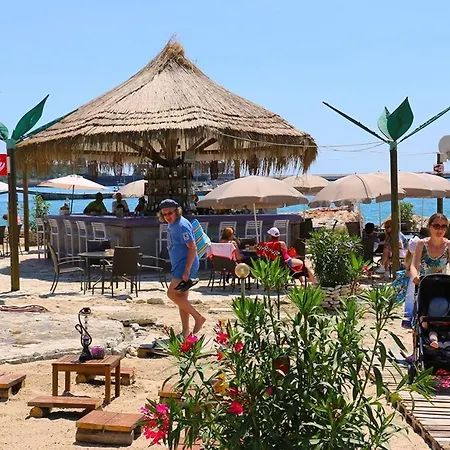 тара - Tara Sokolovo