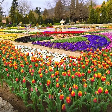 Holiday home тара - Tara