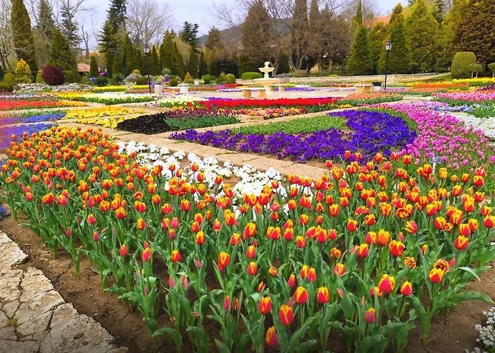 Hébergement de vacances тара - Tara